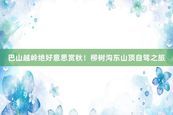 巴山越岭绝好意思赏秋!柳树沟东山顶自驾之旅