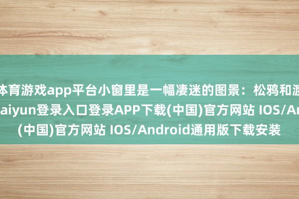 体育游戏app平台小窗里是一幅凄迷的图景：松鸦和渡鸦落在树上-开云kaiyun登录入口登录APP下载(中国)官方网站 IOS/Android通用版下载安装